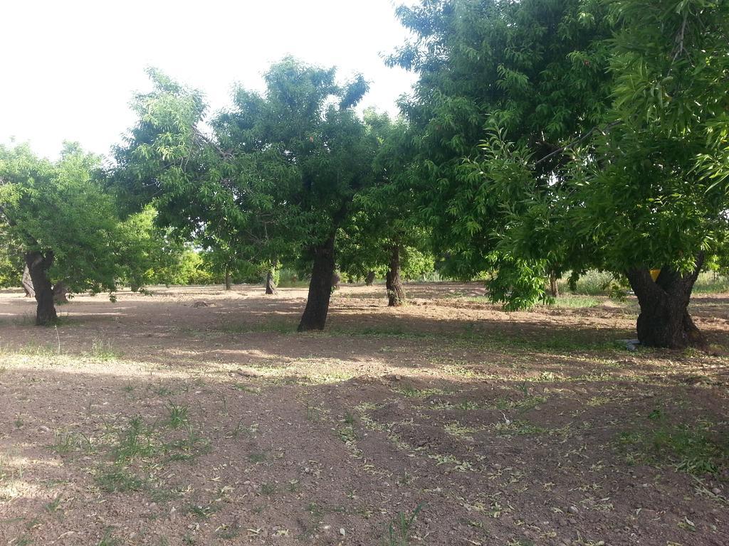 A Lumia Villa Noto Dış mekan fotoğraf