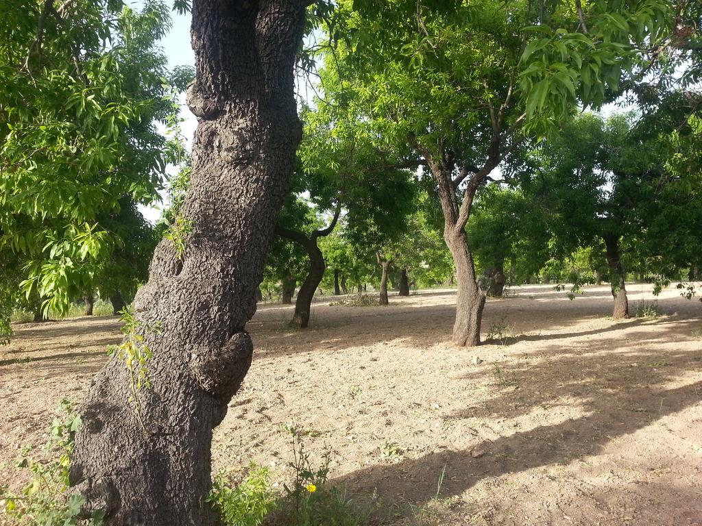 A Lumia Villa Noto Dış mekan fotoğraf