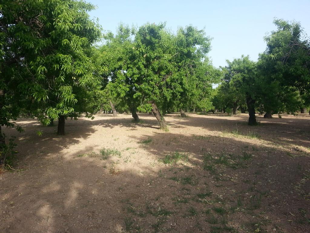 A Lumia Villa Noto Dış mekan fotoğraf