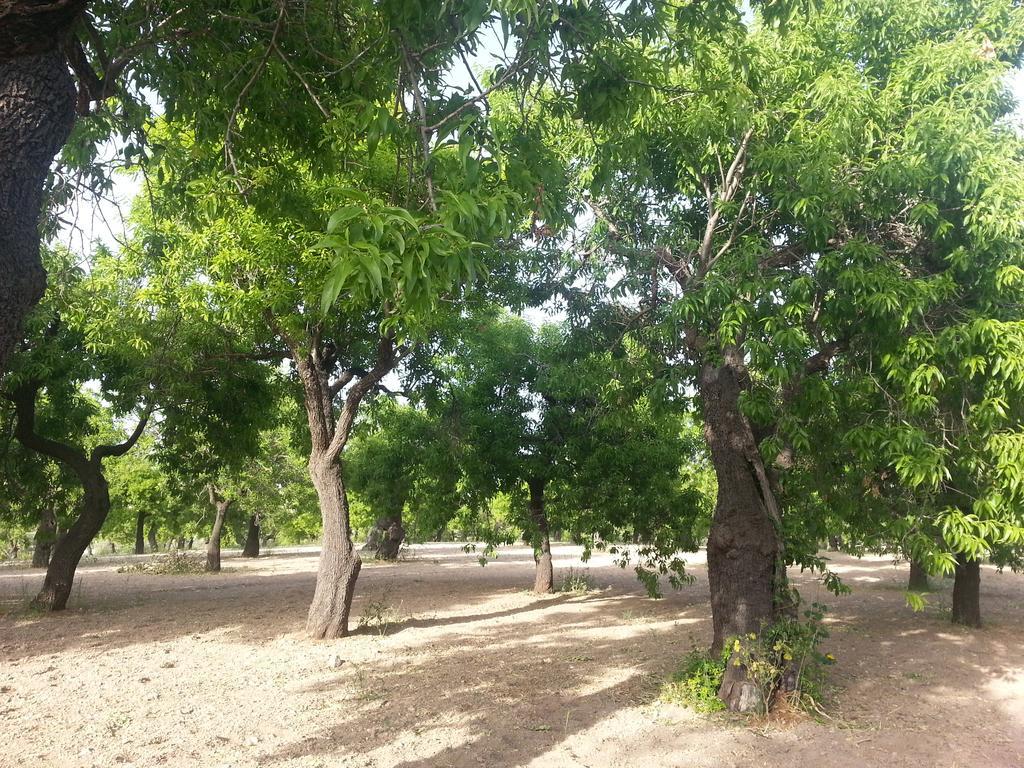 A Lumia Villa Noto Dış mekan fotoğraf