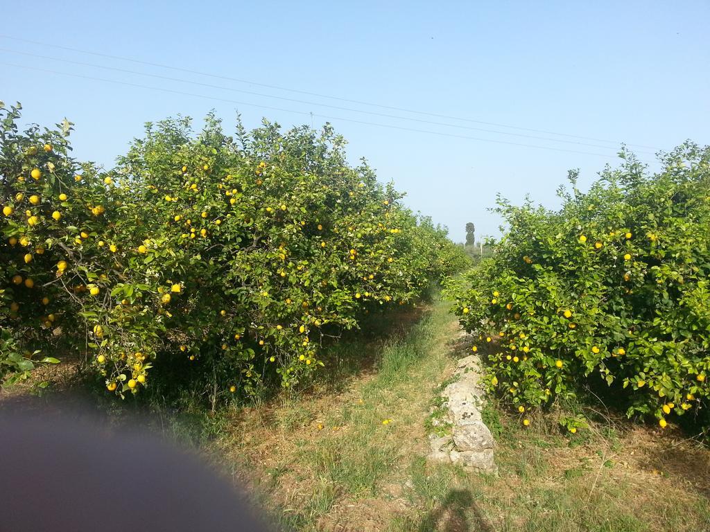 A Lumia Villa Noto Dış mekan fotoğraf