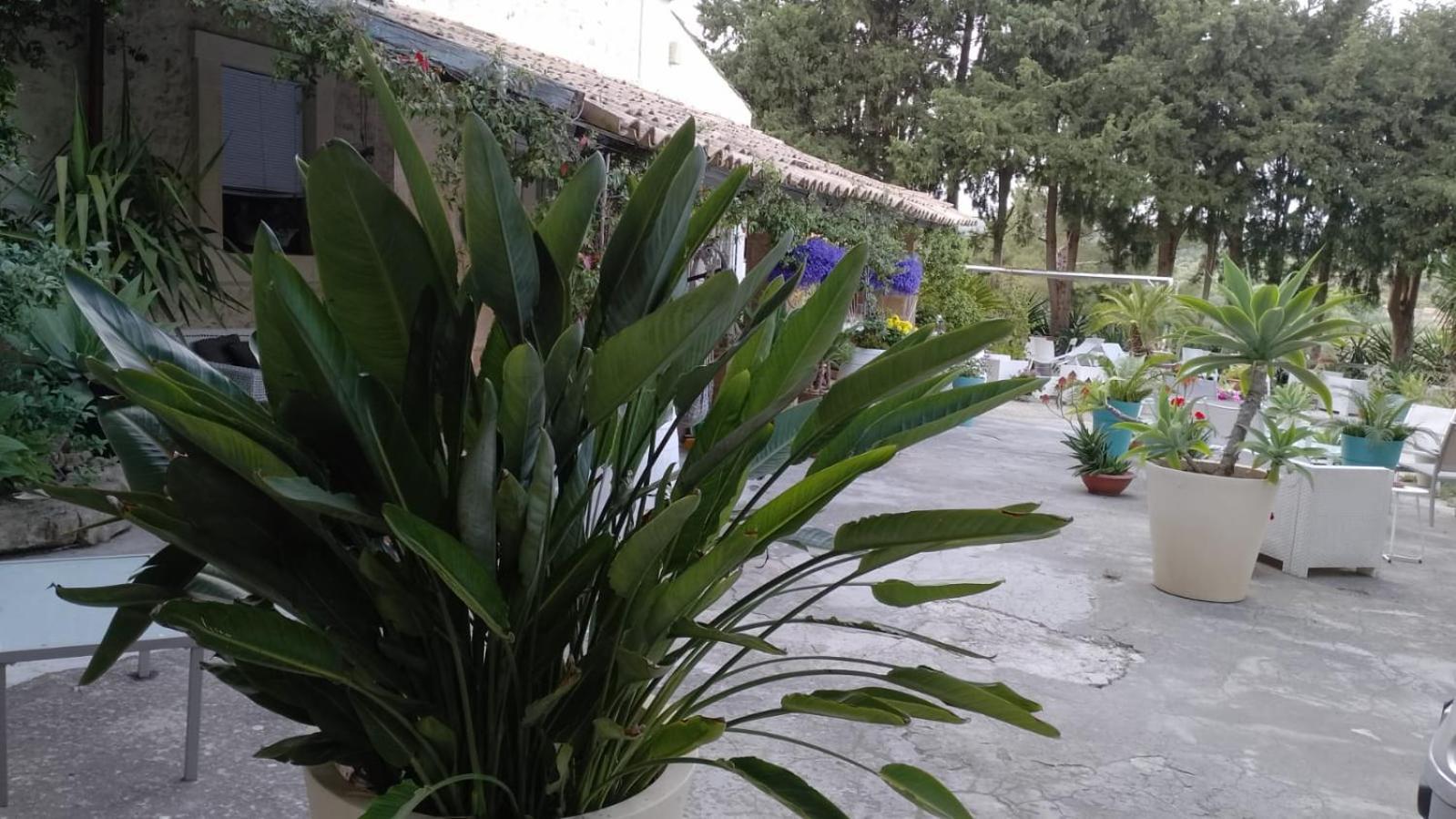 A Lumia Villa Noto Dış mekan fotoğraf